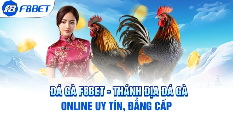 Những lưu ý quan trọng khi cá cược đá gà F8BET